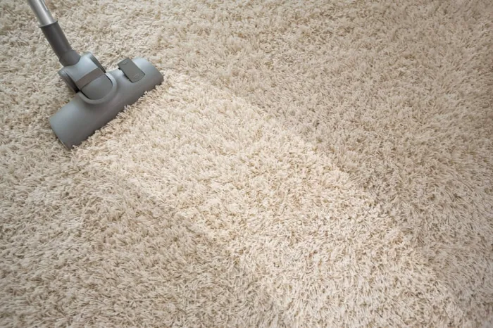 Carpet Cleaning Service