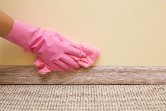 Cleaning Company in Scarborough, ON