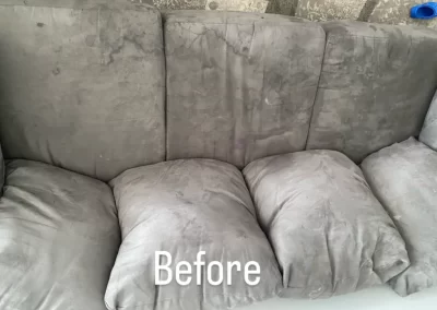 Professional Couch Cleaning Service Before