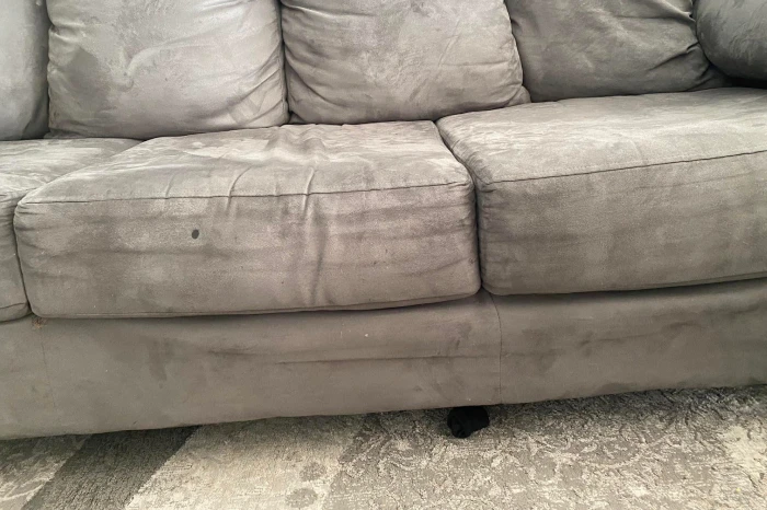 Reliable Couch Cleaning Service
