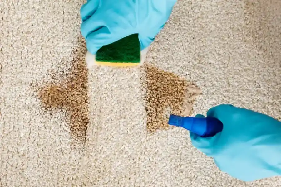 The Benefits Of Professional Carpet Cleaning For Allergies Scarborough, ON The Benefits Of Professional Carpet Cleaning For Allergies Scarborough, ON