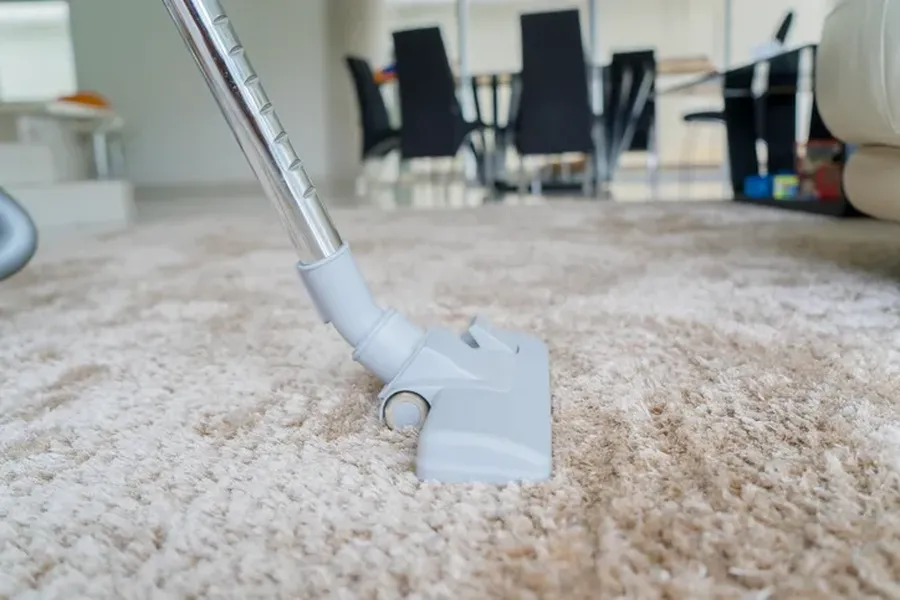 Tips For Maintaining Clean Carpets Between Professional Sessions in Scarborough, ON Tips For Maintaining Clean Carpets Between Professional Sessions in Scarborough, ON